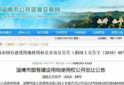 淄博最新爆料,揭秘城市蜕变背后的故事